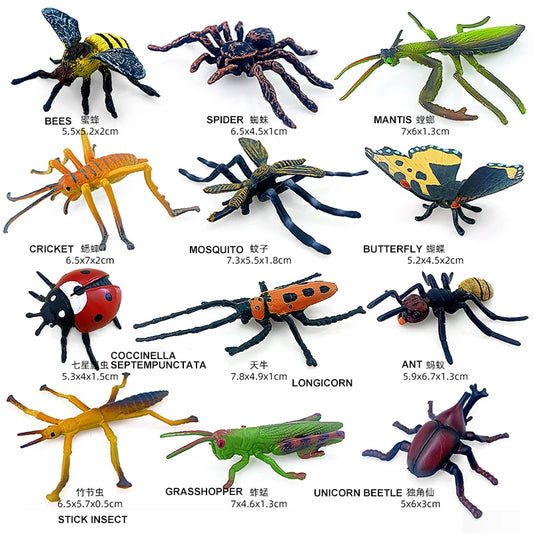 12pcs Wild Insect Model Set – Butterfly, Scorpion & Mini Animal Toys