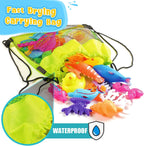 Goody King Magnetic Fishing Game Pool Party Pole Rod Net - Bathtub Outdoor Indoor Carnival Party Water Table Fish Toys Age 3-5 6 4-8