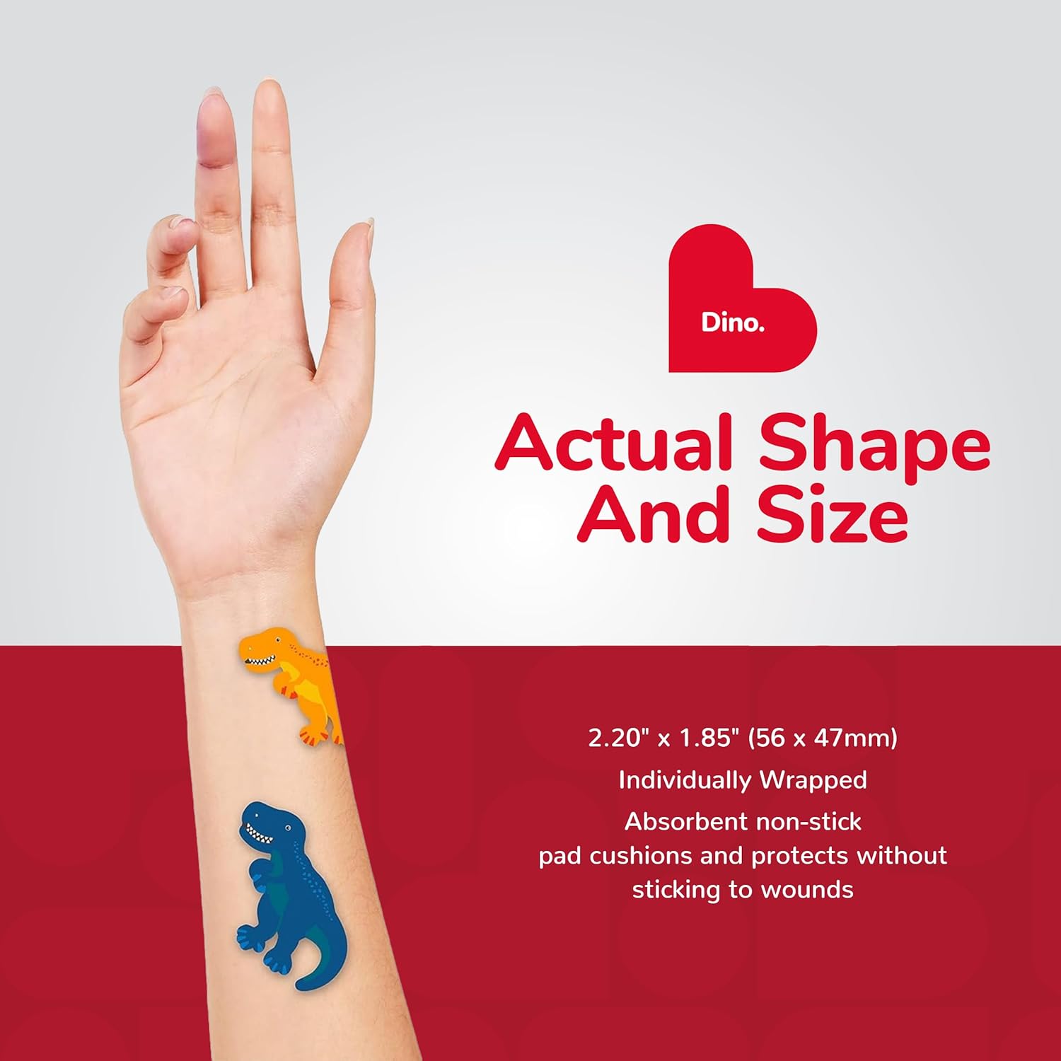 BioSwiss Bandages, Self Adhesive Bandage Set, Latex Free, Sterile Wound Care