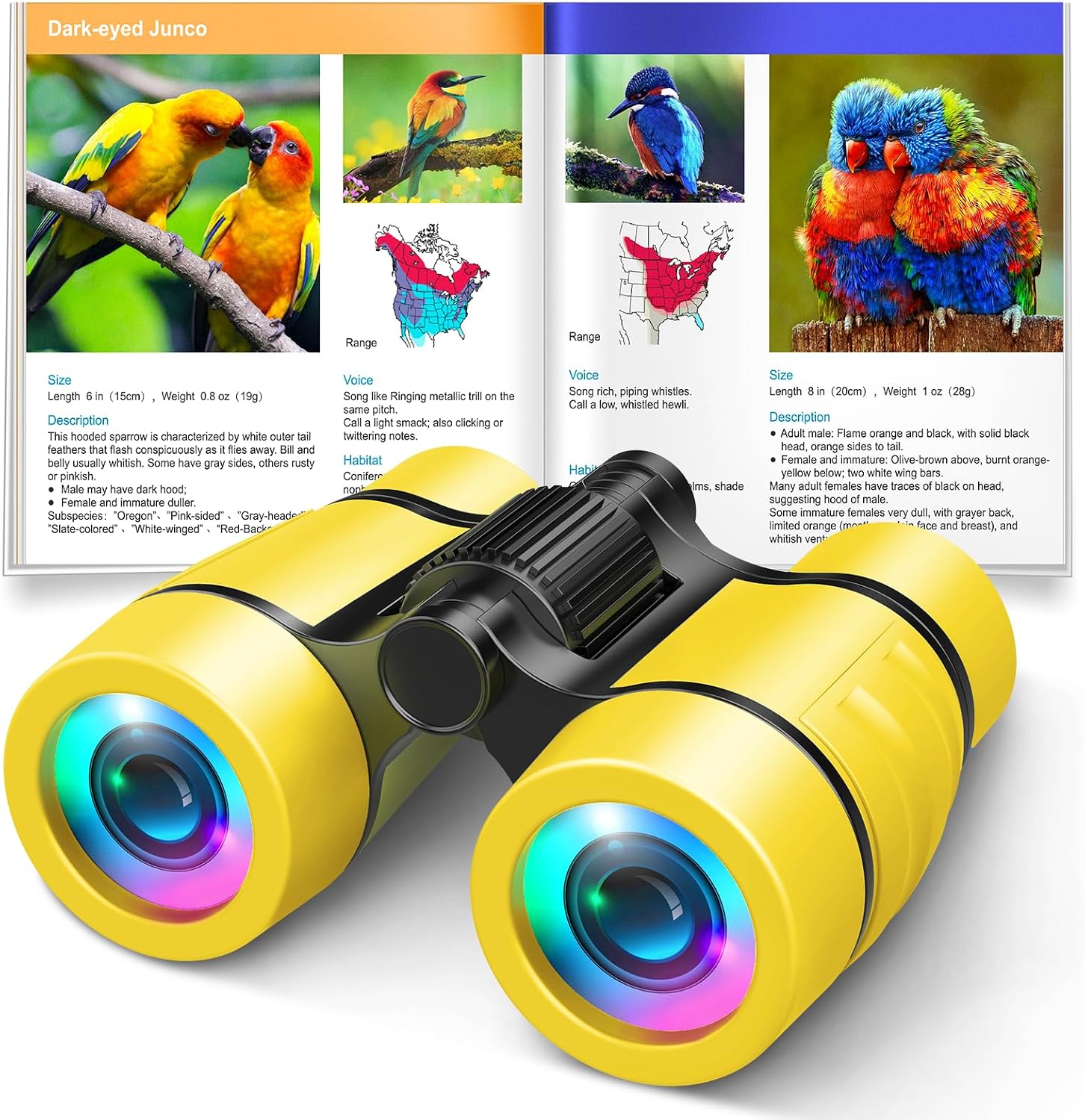 Toys for 3-7 Year Old Girls: LET'S GO! Binoculars for Kids Bird Watching|Camping|Hiking 3 4 5 6 7 8 Year Old Girl Boy Birthday Gifts Outdoor Toy for Kid Ages 4-6 Toddler Gift Stuffers