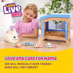 Little Live Pets Mama Surprise Collection
