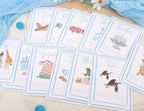 Boy Watercolor Milestone Cards - My First Monthly Milestone Cards,Blue Boy 12 Monthly Newborn Photos
