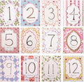 Baby Boy/Girl Monthly Milestone Cards - First Holiday Cards,First Year Month Photo Milestone Cards,Baby Shower Newborn Photo Prop