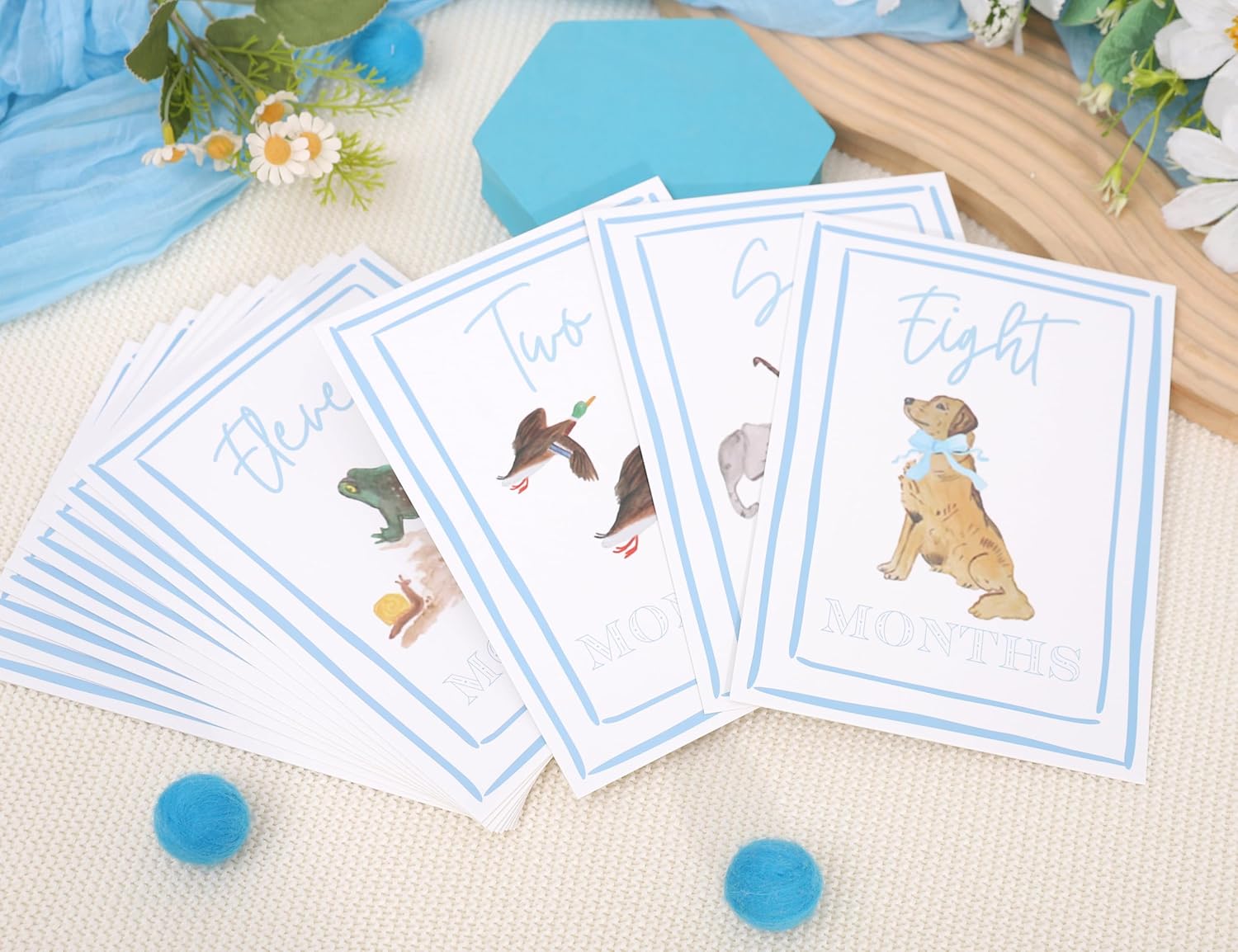 Boy Watercolor Milestone Cards - My First Monthly Milestone Cards,Blue Boy 12 Monthly Newborn Photos