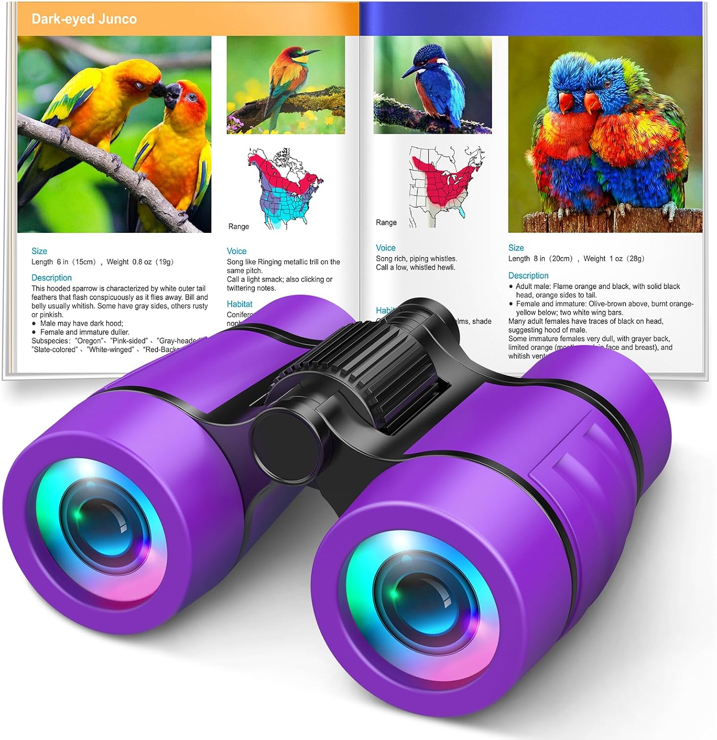 Toys for 3-7 Year Old Girls: LET'S GO! Binoculars for Kids Bird Watching|Camping|Hiking 3 4 5 6 7 8 Year Old Girl Boy Birthday Gifts Outdoor Toy for Kid Ages 4-6 Toddler Gift Stuffers
