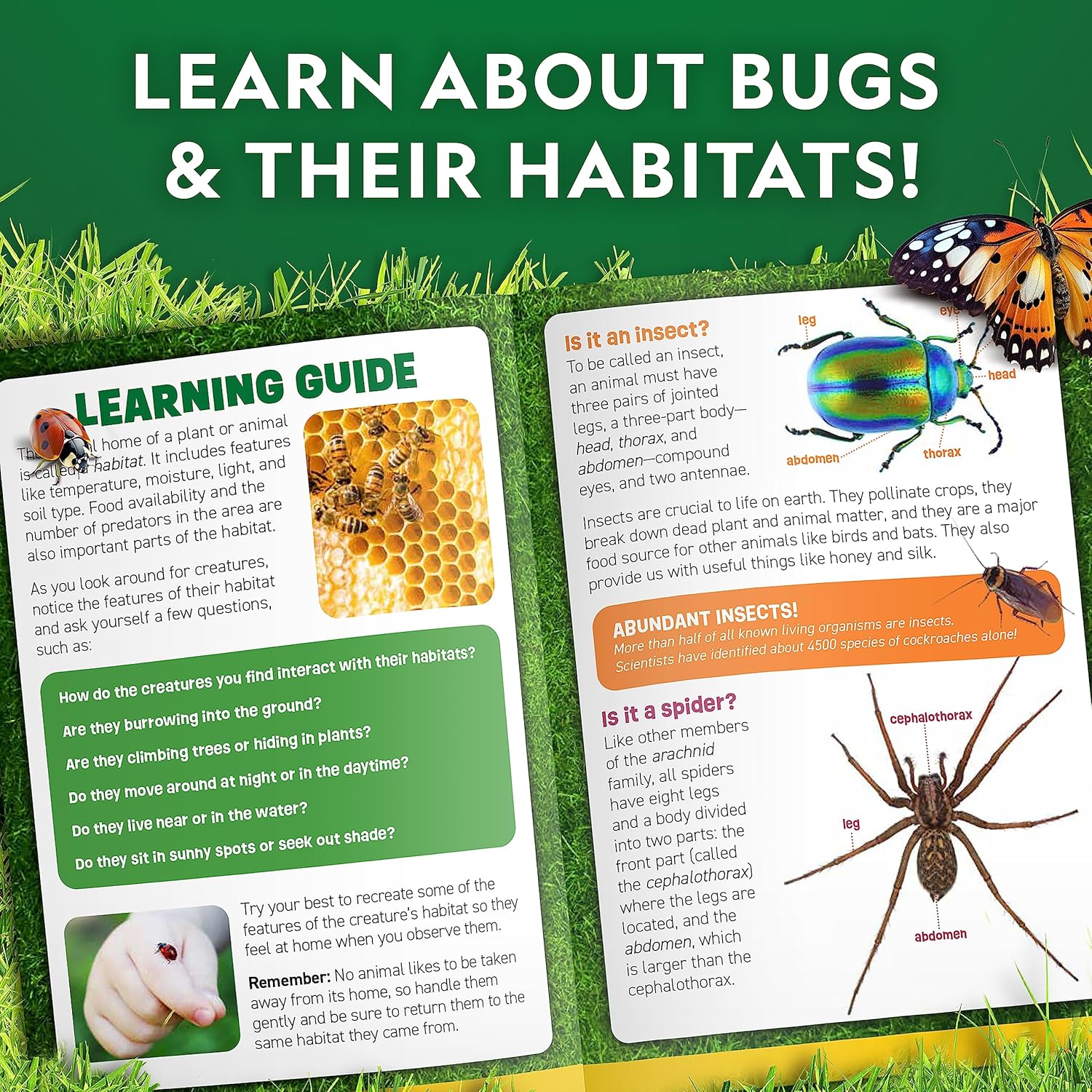 National Geographic Bug Catcher Kit and Outdoor Insect Habitat for Kids | 360-Degree Viewer, 2 Magnifying Lenses, Catching Net, Tweezers, Outdoor Exploration Toy, Insect Science, Birthday Gift