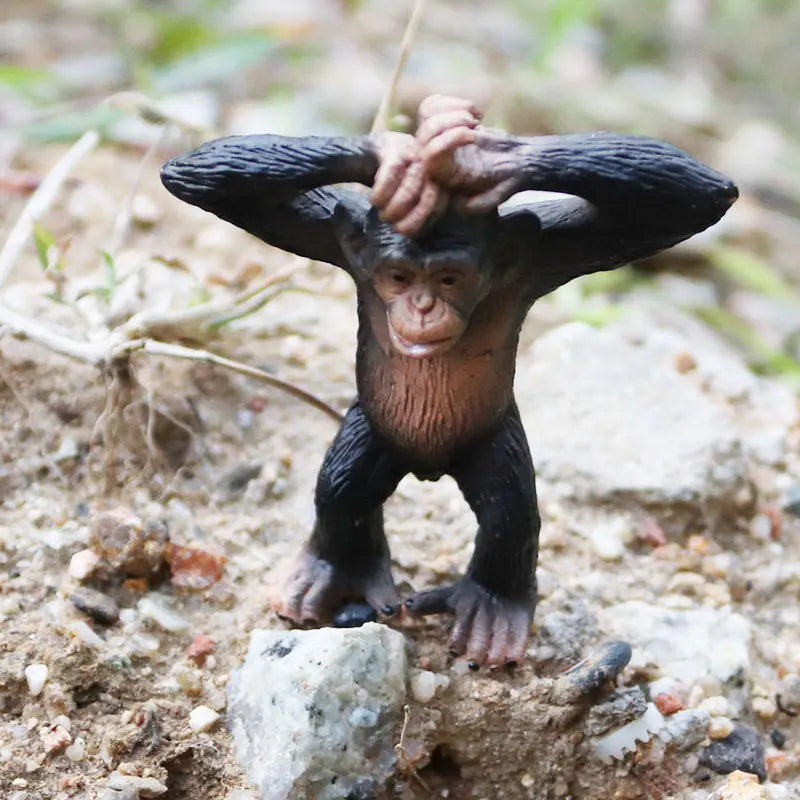 Oenux Simulation Wild Animal Chimpanzee Orangutan Gorilla Tree Sloth Monkey Model Action Figures Garden Miniature Decoration Toy
