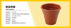 Forest Building Blocks Plant & Tree Accessories for Kids