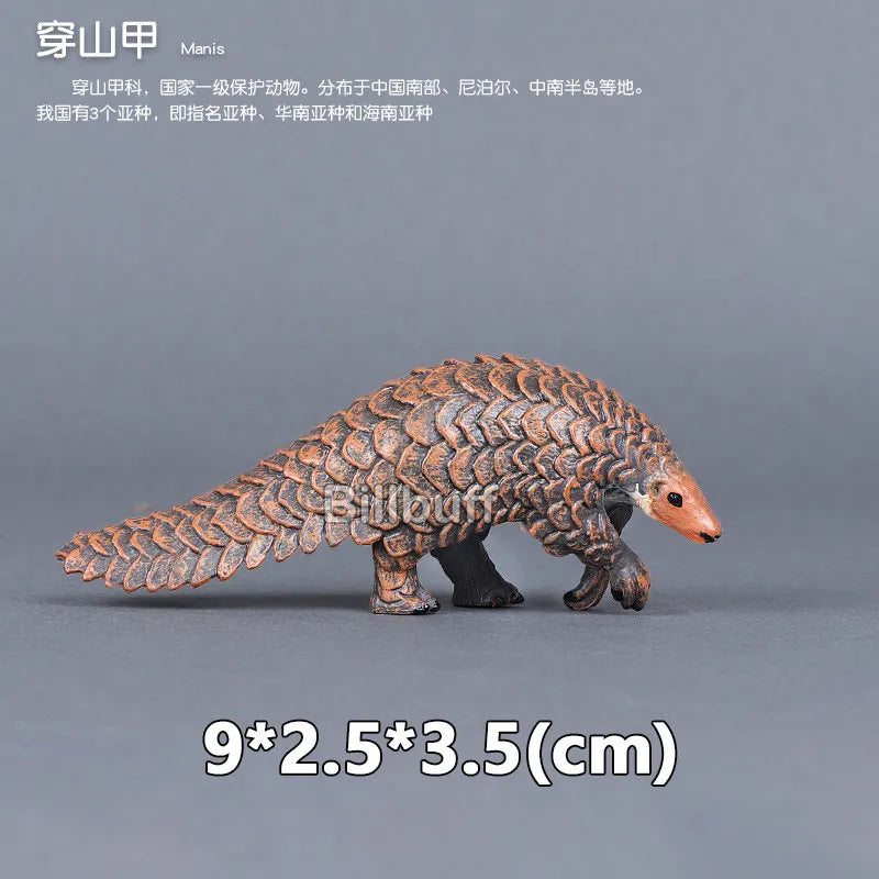 Simulation Wild Animals Zoo Wolf Monkey Fox Chameleon Pangolin Squirrel Chinchilla Donkey Sloth Model Figures Educational Toys