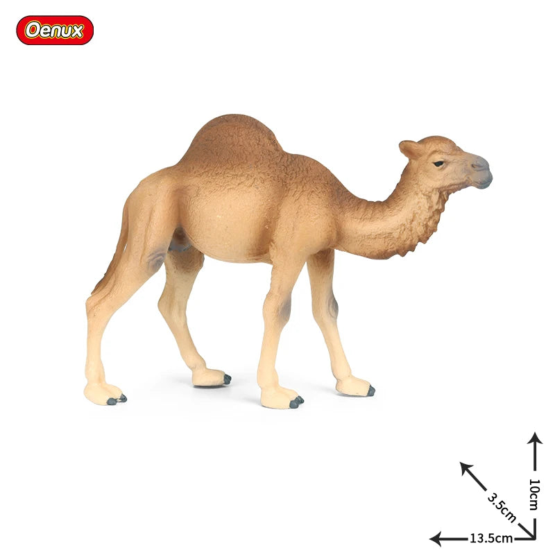 Oenux Simulation Wild Animals Toy Desert Camel Donkey Alpaca Antelope Elk Deer Model Action Figures PVC Decoration Kids Gift