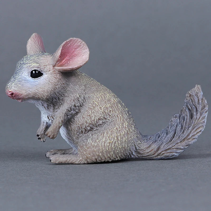 Simulation Wild Animals Zoo Wolf Monkey Fox Chameleon Pangolin Squirrel Chinchilla Donkey Sloth Model Figures Educational Toys