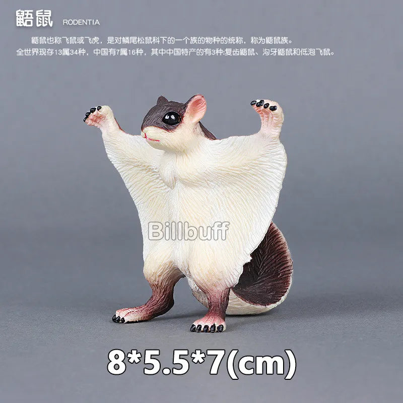 Simulation Wild Animals Zoo Wolf Monkey Fox Chameleon Pangolin Squirrel Chinchilla Donkey Sloth Model Figures Educational Toys