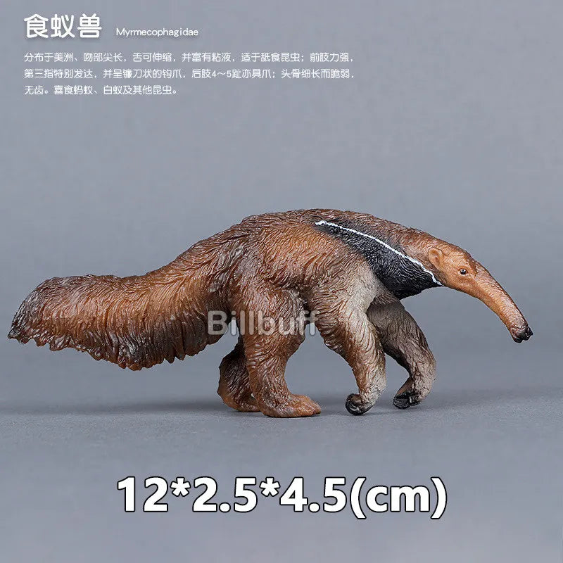 Simulation Wild Animals Zoo Wolf Monkey Fox Chameleon Pangolin Squirrel Chinchilla Donkey Sloth Model Figures Educational Toys