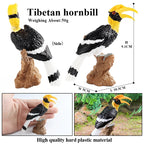 Oenux Garden Bird Figurines Snowy Owl Toucan Bucerotidae Animals Model PVC Action Figures Collection Toys For Kids Birthday Gift