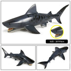 Oenux Ocean Animal Savage Megalodon Beluga Big Shark Orca Sperm Blue Whale Action Figures Sea Life Model Educational Kids Toy