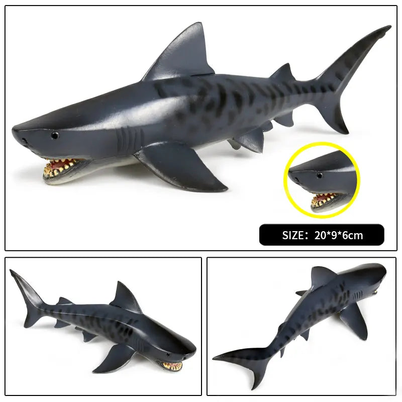 Oenux Ocean Animal Savage Megalodon Beluga Big Shark Orca Sperm Blue Whale Action Figures Sea Life Model Educational Kids Toy