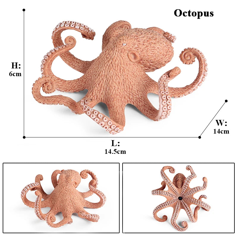 Oenux Marine Molluscs Model Simulation Squid Octopus Growth Cycle Action Figure Sealife Animals Education Collection Kids Toy