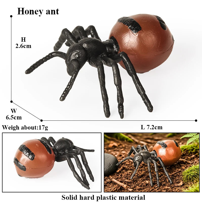 Oenux Wild Animals Simulation AArdvark Anteater Armadillo Pangolin Ant Natural Enemy Figurines PVC Model Collection Kid Toy Gift