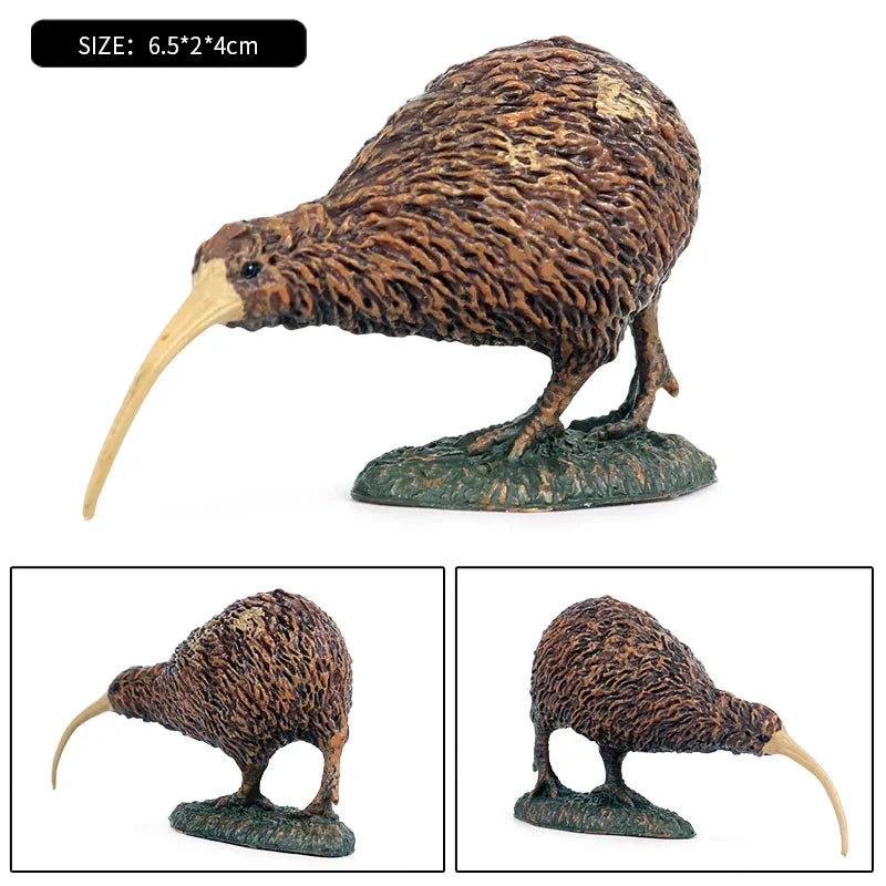 Oenux Garden Bird Figurines Snowy Owl Toucan Bucerotidae Animals Model PVC Action Figures Collection Toys For Kids Birthday Gift