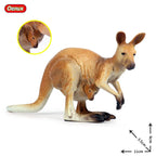 Oenux Classic Australian Wild Animals Kangaroos Koala Platypus Tasmanian Devil Echidna Cassowary Model Figurine Toy Kid Gift