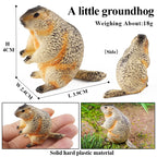 Oenux Wild Animals Simulation Rodent Marmot Mouse Model Squirrel Rat Chinchilla Action Figure Figurine Collection Cute Kid Toy