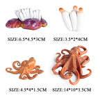 Oenux Marine Molluscs Model Simulation Squid Octopus Growth Cycle Action Figure Sealife Animals Education Collection Kids Toy