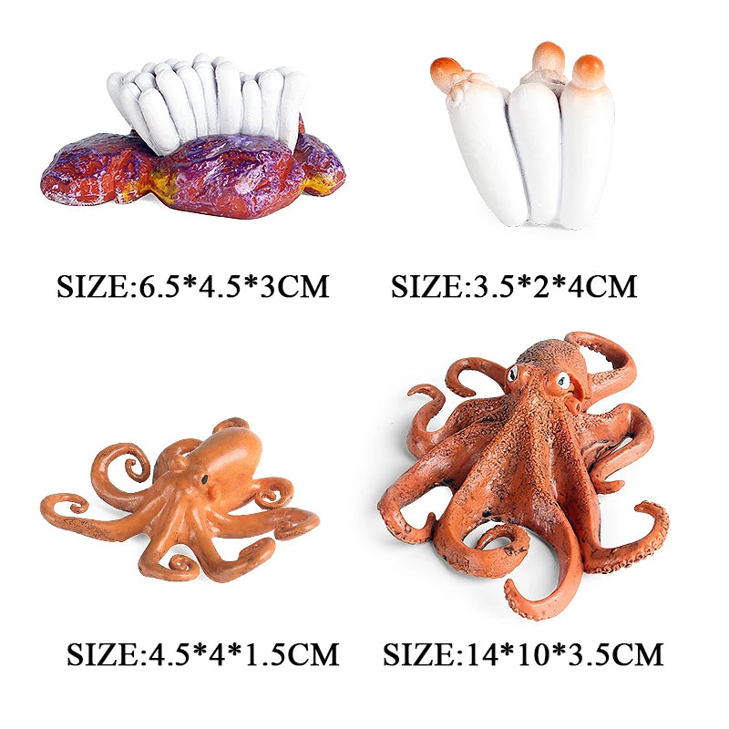 Oenux Marine Molluscs Model Simulation Squid Octopus Growth Cycle Action Figure Sealife Animals Education Collection Kids Toy