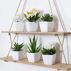 6PCS, Artificial Plants Small Bonsai, DIY Crafts desktop Windowsill Display Rack Display Decoration