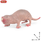 Oenux New Wild Animals Forest Orangutan Pigeon Hedgehog Aardvark Capybara Action Figure Model Figurines PVC Collection Kids Toy