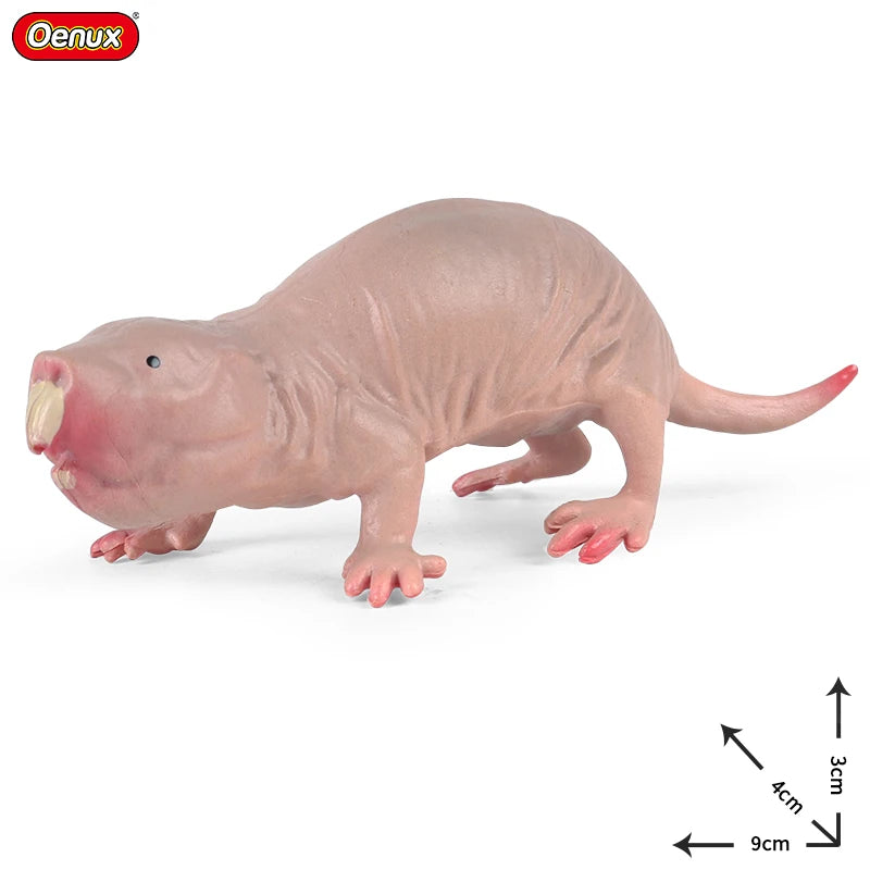 Oenux New Wild Animals Forest Orangutan Pigeon Hedgehog Aardvark Capybara Action Figure Model Figurines PVC Collection Kids Toy