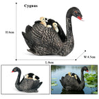 Oenux Poultry Model Simulation Goose Swan Gaggle Duck Flock Action Figures Farm Animals Figurine Miniature Education Kids Toy