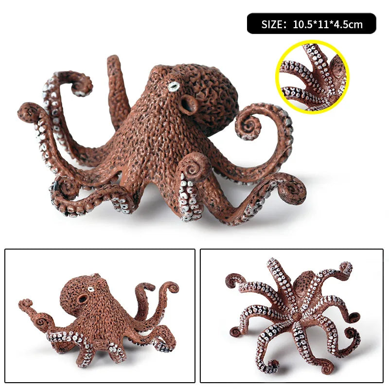 Oenux Marine Molluscs Model Simulation Squid Octopus Growth Cycle Action Figure Sealife Animals Education Collection Kids Toy