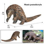 Oenux Wild Animals Simulation AArdvark Anteater Armadillo Pangolin Ant Natural Enemy Figurines PVC Model Collection Kid Toy Gift