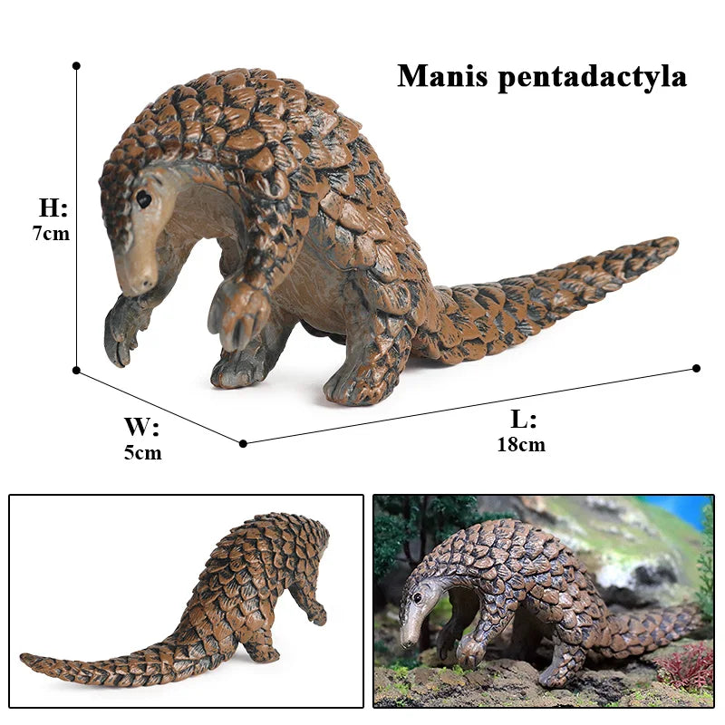 Oenux Wild Animals Simulation AArdvark Anteater Armadillo Pangolin Ant Natural Enemy Figurines PVC Model Collection Kid Toy Gift