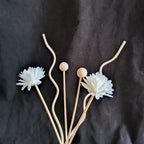 DIY Artificial Flower Rattan Reed Diffuser Refill Sticks 6pcs/8pcs/9pcs Essential Oil Home Fragrance Aroma Diffuse Clu