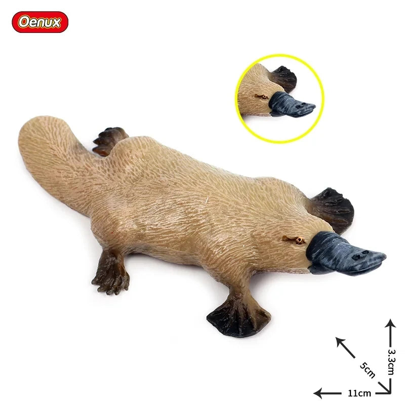 Oenux Classic Australian Wild Animals Kangaroos Koala Platypus Tasmanian Devil Echidna Cassowary Model Figurine Toy Kid Gift