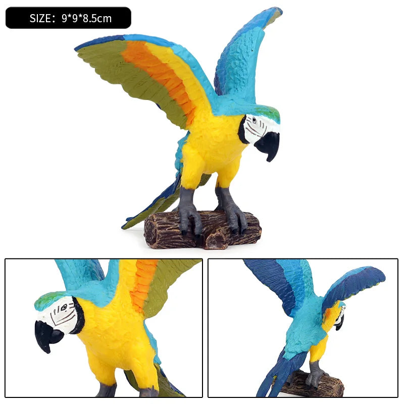 Oenux Bird Forest Animal Parrot Macaw Cockatiel Cockatoo Agapornis Puffin Model Solid PVC Garden Decoration Education Kids Toy