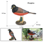 Oenux Garden Bird Figurines Snowy Owl Toucan Bucerotidae Animals Model PVC Action Figures Collection Toys For Kids Birthday Gift