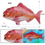 Oenux Sea Life Animals Coral Octopus Nautiloidea Crab Starfish Ocean Model Action Figures Educational Collection Toy Kid Gift