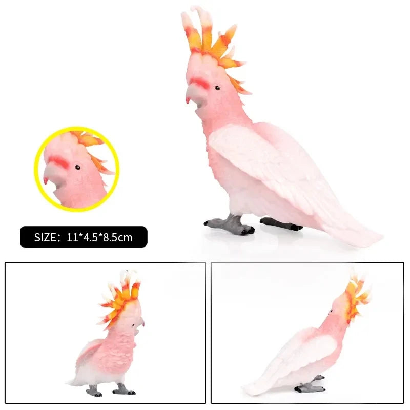 Oenux Bird Forest Animal Parrot Macaw Cockatiel Cockatoo Agapornis Puffin Model Solid PVC Garden Decoration Education Kids Toy