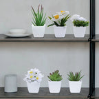 6PCS, Artificial Plants Small Bonsai, DIY Crafts desktop Windowsill Display Rack Display Decoration