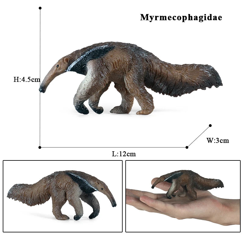 Oenux Wild Animals Simulation AArdvark Anteater Armadillo Pangolin Ant Natural Enemy Figurines PVC Model Collection Kid Toy Gift