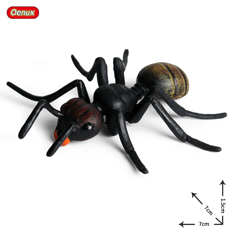 Oenux Wild Animals Simulation AArdvark Anteater Armadillo Pangolin Ant Natural Enemy Figurines PVC Model Collection Kid Toy Gift