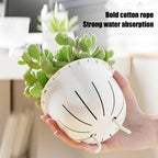 Self Watering Flowerpot Automatic Water Absorbing Flowerpot Transparent Double Layer Plastic Succulent Plant Pot Decorative Pot