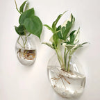 2/4/6 Pack Wall Hanging Glass Terrarium - Self-Watering Hydroponic Planter for Home Office Decor, Handmade Round Crystal Vase