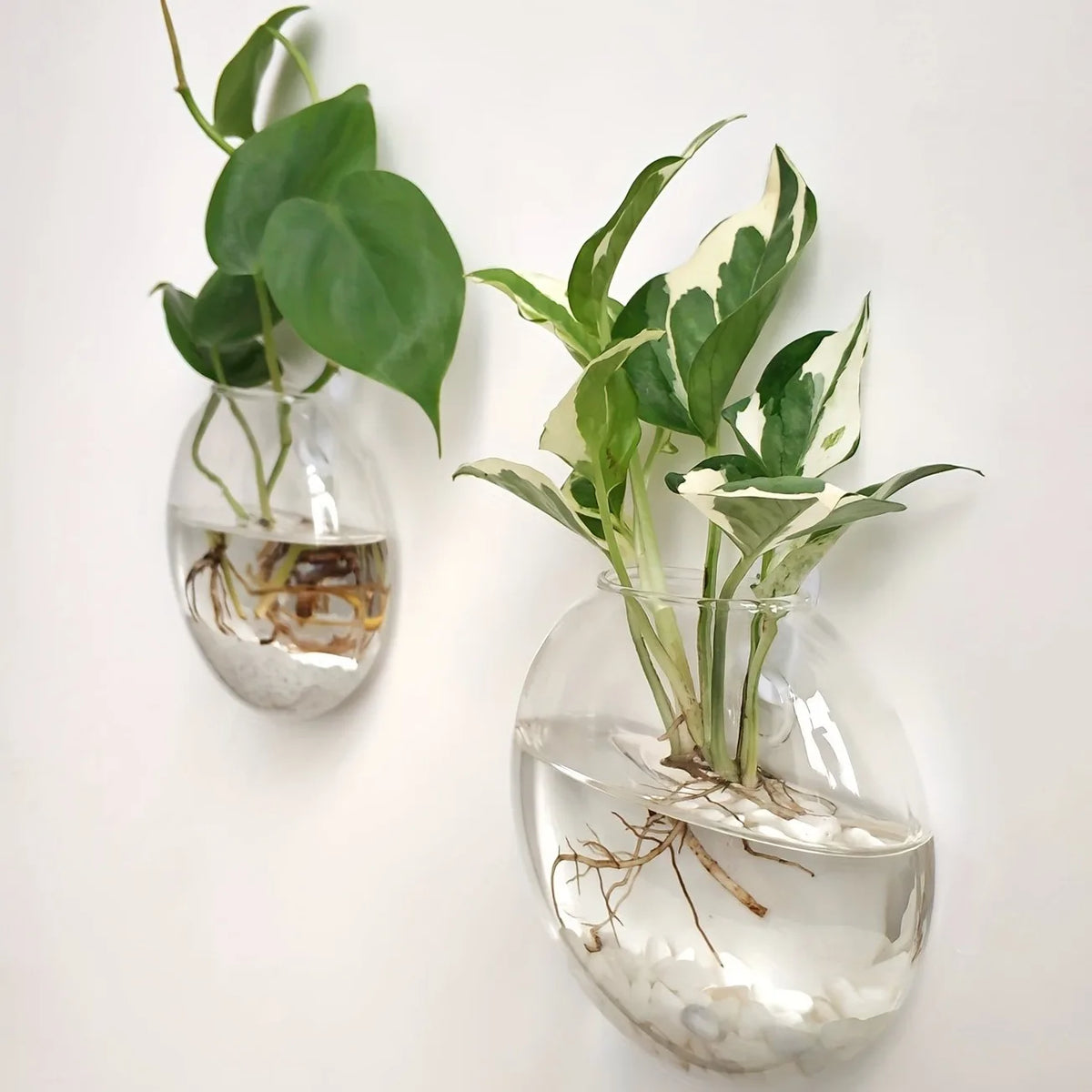 2/4/6 Pack Wall Hanging Glass Terrarium - Self-Watering Hydroponic Planter for Home Office Decor, Handmade Round Crystal Vase