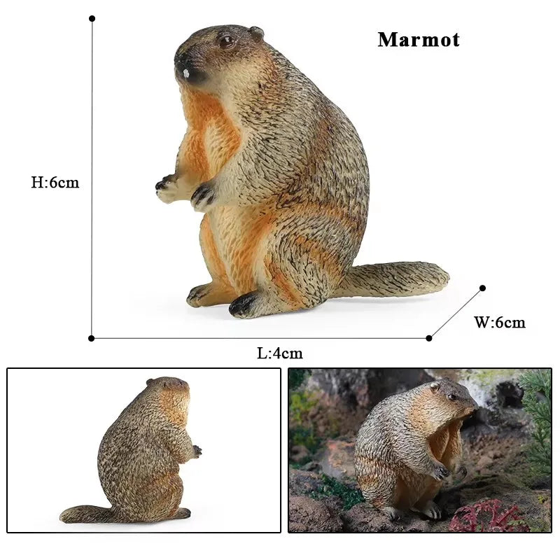 Oenux Wild Animals Simulation Rodent Marmot Mouse Model Squirrel Rat Chinchilla Action Figure Figurine Collection Cute Kid Toy