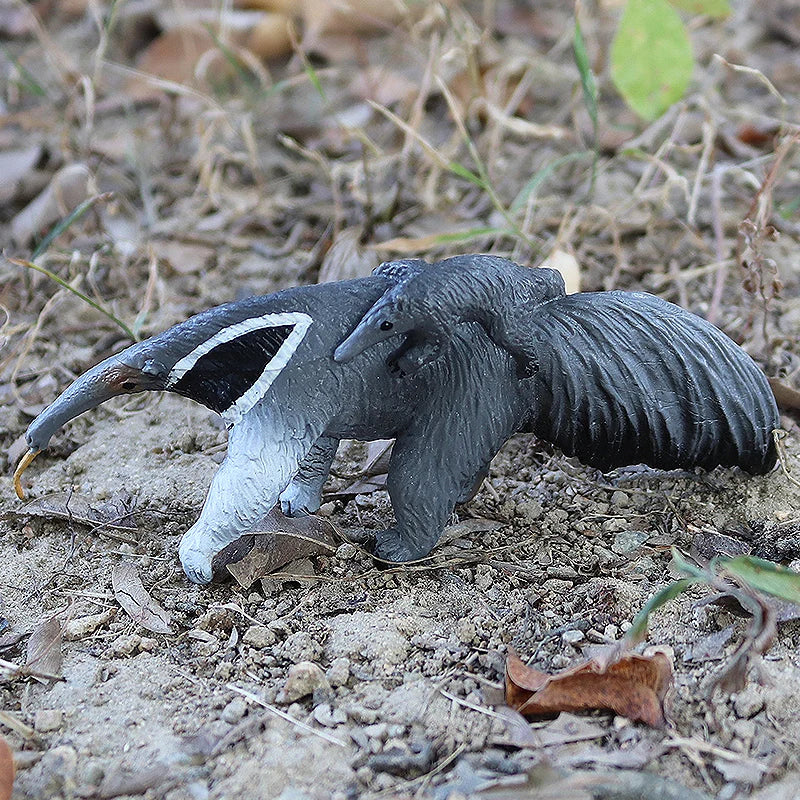 Oenux Wild Animals Simulation AArdvark Anteater Armadillo Pangolin Ant Natural Enemy Figurines PVC Model Collection Kid Toy Gift
