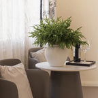 24/12pcs Artificial Cedar Sprigs - Perfect for Christmas & Winter Home Decor, Tabletop Accents