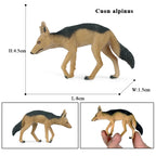 Oenux Wild Beast Animals Small Gray Wolf Maned Wolf Baby Wolves Simulation Model Action Figures Collection PVC Gift Kid Toy Gift
